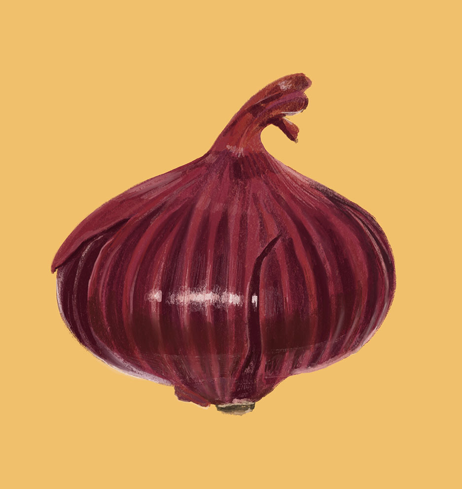 Photo of onion