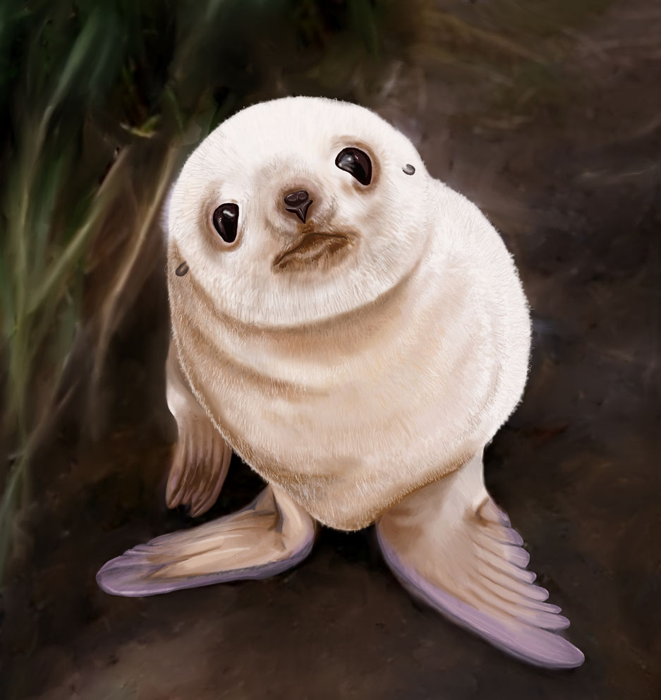 Photo of seal